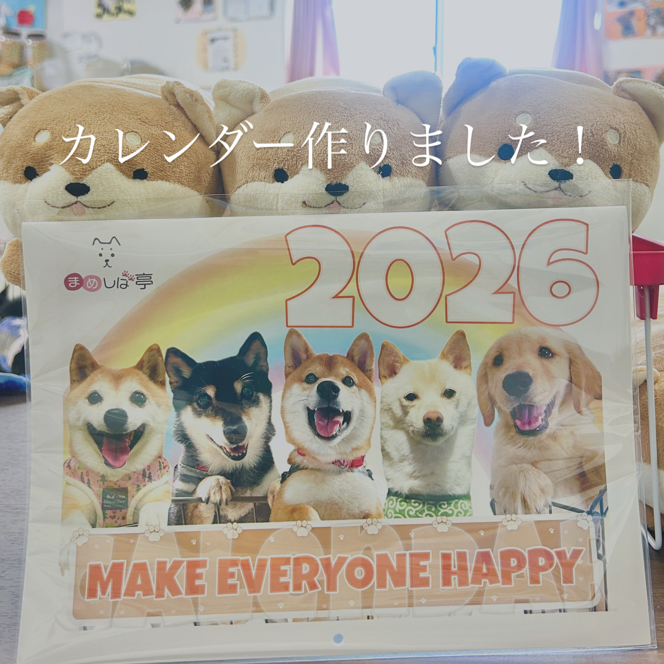 豆柴犬専門ブリーダー『まめしば亭』 – 鹿児島県伊佐市