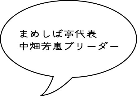 まめしば亭について 豆柴犬専門ブリーダー まめしば亭 鹿児島県伊佐市